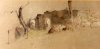1907 - Recinto con pecore